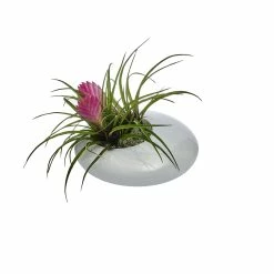 NUDE Tableware Nacre Bowl Small