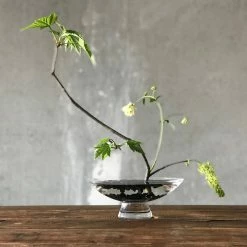 Hot Sale ๐ NUDE Silhouette Bowl Large Tableware ๐ฅฐ 14 NUDE Silhouette Bowl Large Tableware