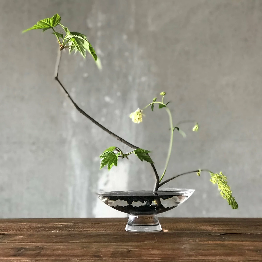 Hot Sale ๐ NUDE Silhouette Bowl Large Tableware ๐ฅฐ 6 NUDE Silhouette Bowl Large Tableware