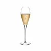 NUDE Fantasy Set Of 2 Champagne Glasses