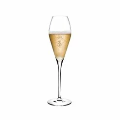 NUDE Fantasy Set Of 2 Champagne Glasses