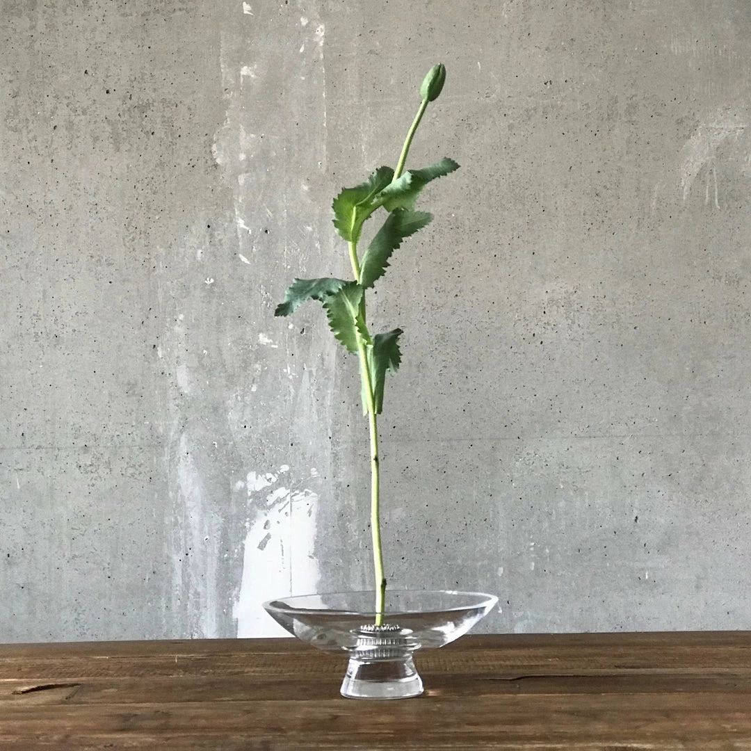 Hot Sale ๐ NUDE Silhouette Bowl Large Tableware ๐ฅฐ 8 NUDE Silhouette Bowl Large Tableware