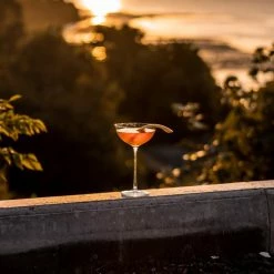 NUDE Cocktail Glasses Hepburn Set Of 2 Coupe Glasses