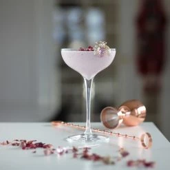 NUDE Champagne Glasses Terroir Set Of 2 Coupe Glasses