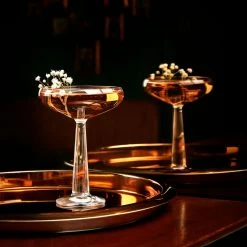 NUDE Cocktail Glasses Big Top Set Of 2 Coupe Glasses