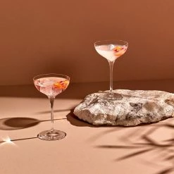 NUDE Champagne Glasses Terroir Set Of 2 Coupe Glasses