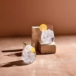 Buy π NUDE Tumblers Ghost Zero Tulip Set Of 2 Glasses β€οΈ 12 NUDE Tumblers Ghost Zero Tulip Set Of 2 Glasses