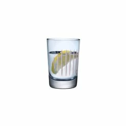 NUDE Tumblers Parrot Set Of 2 Water Glasses