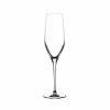 NUDE Vinifera Set Of 2 Champagne Glasses