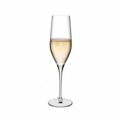 NUDE Vinifera Set Of 2 Champagne Glasses