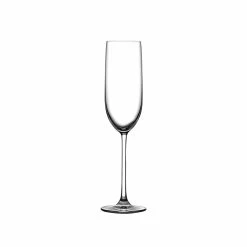 NUDE Vintage Set Of 2 Champagne Glasses