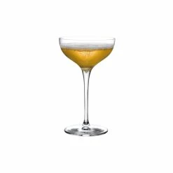 NUDE Champagne Glasses Terroir Set Of 2 Coupe Glasses