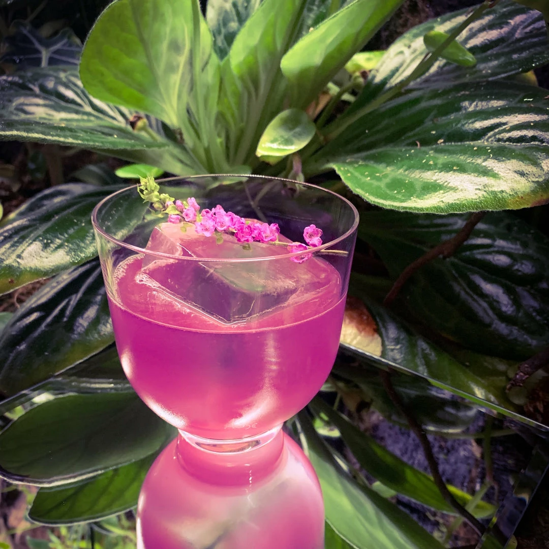 Top 10 ๐ NUDE Hepburn Set Of 4 Low Ball Glasses Cocktail Glasses โ๏ธ 9 NUDE Hepburn Set Of 4 Low Ball Glasses Cocktail Glasses