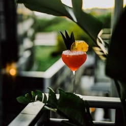 NUDE Fantasy Set Of 2 Cocktail Glasses