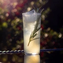 NUDE Highball Glasses Savage Set Of 4 High Ball Glasses